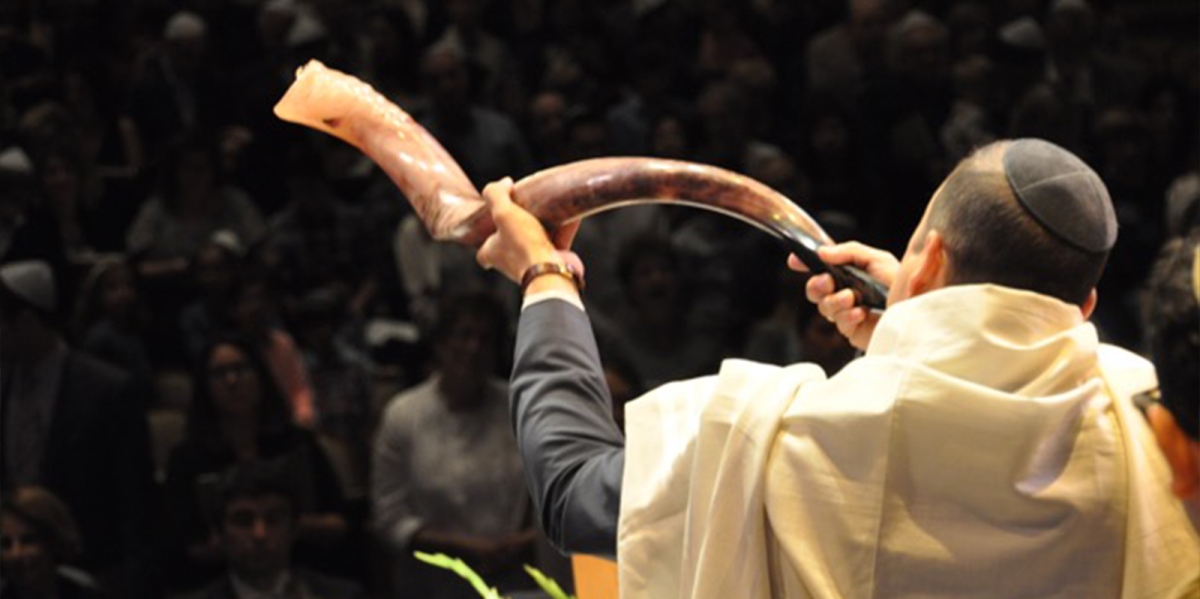 org img 1475780057 L-LP RH4