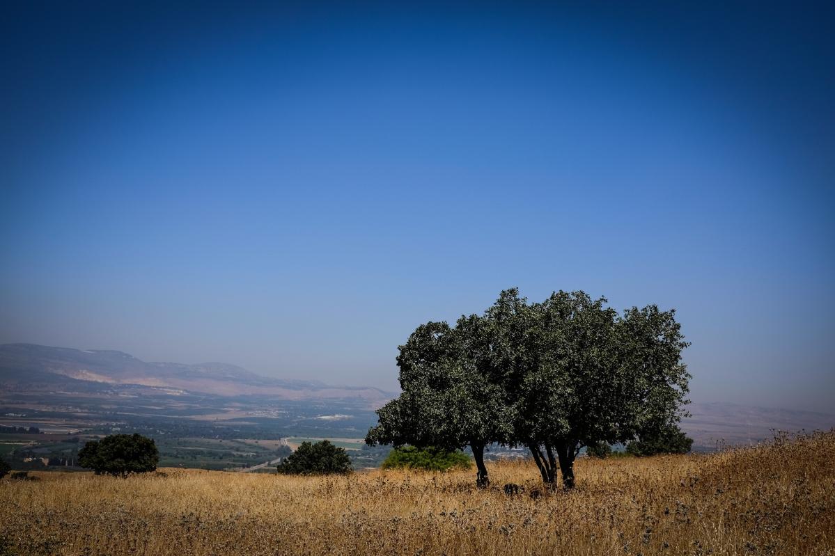 Temple Isaiah in Israel
