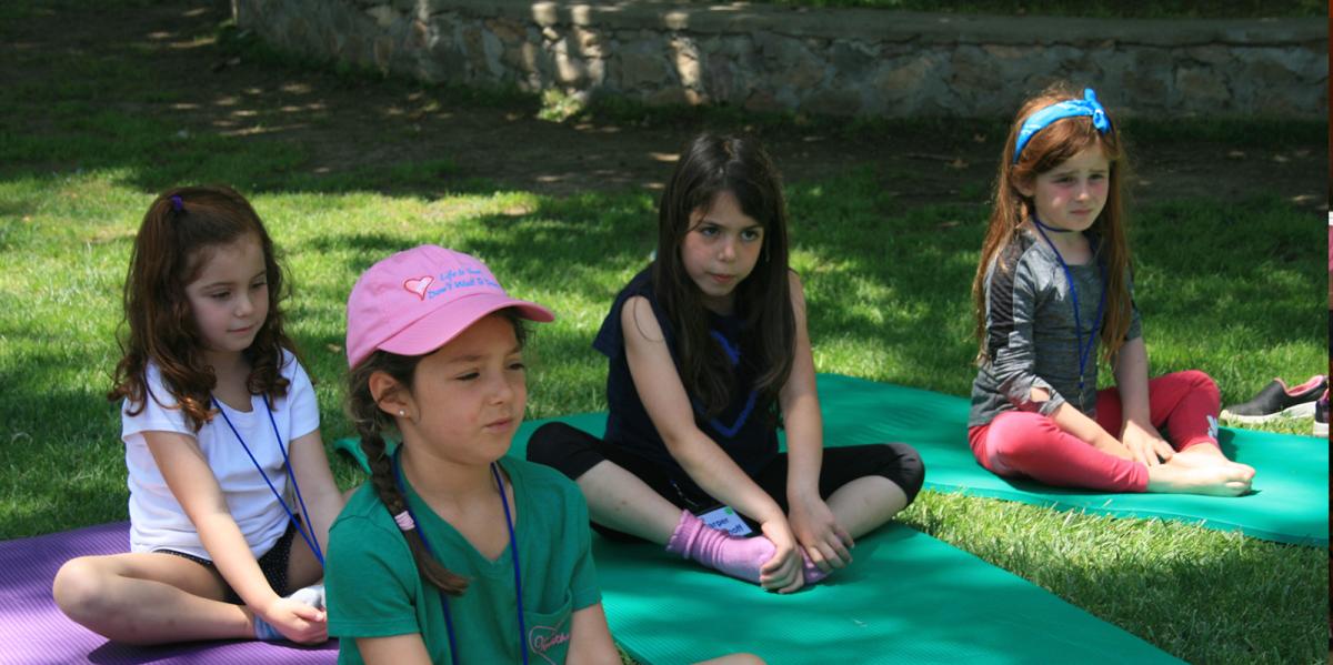 org img 1579721050 L-LP camp-2