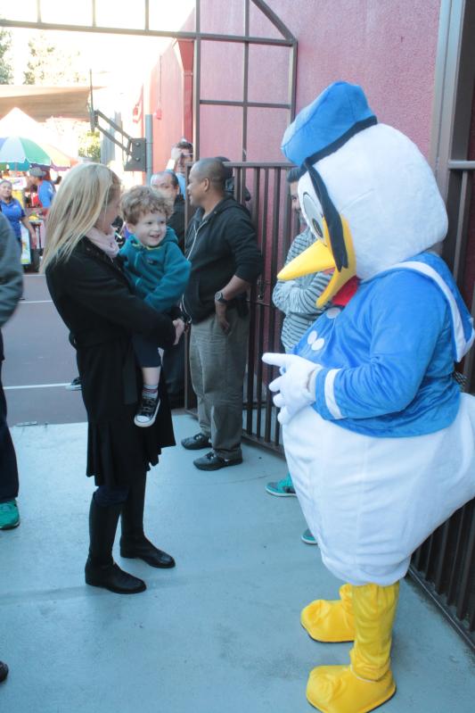 org img 1520547628 L-IMG 8428