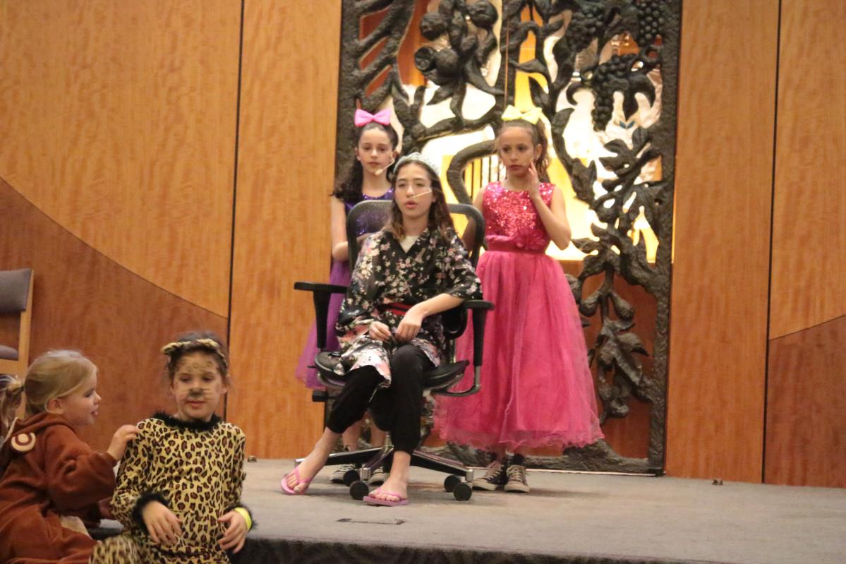 org img 1520547688 L-IMG 8479