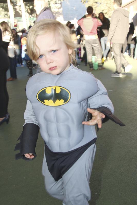 org img 1520549624 L-IMG 2149