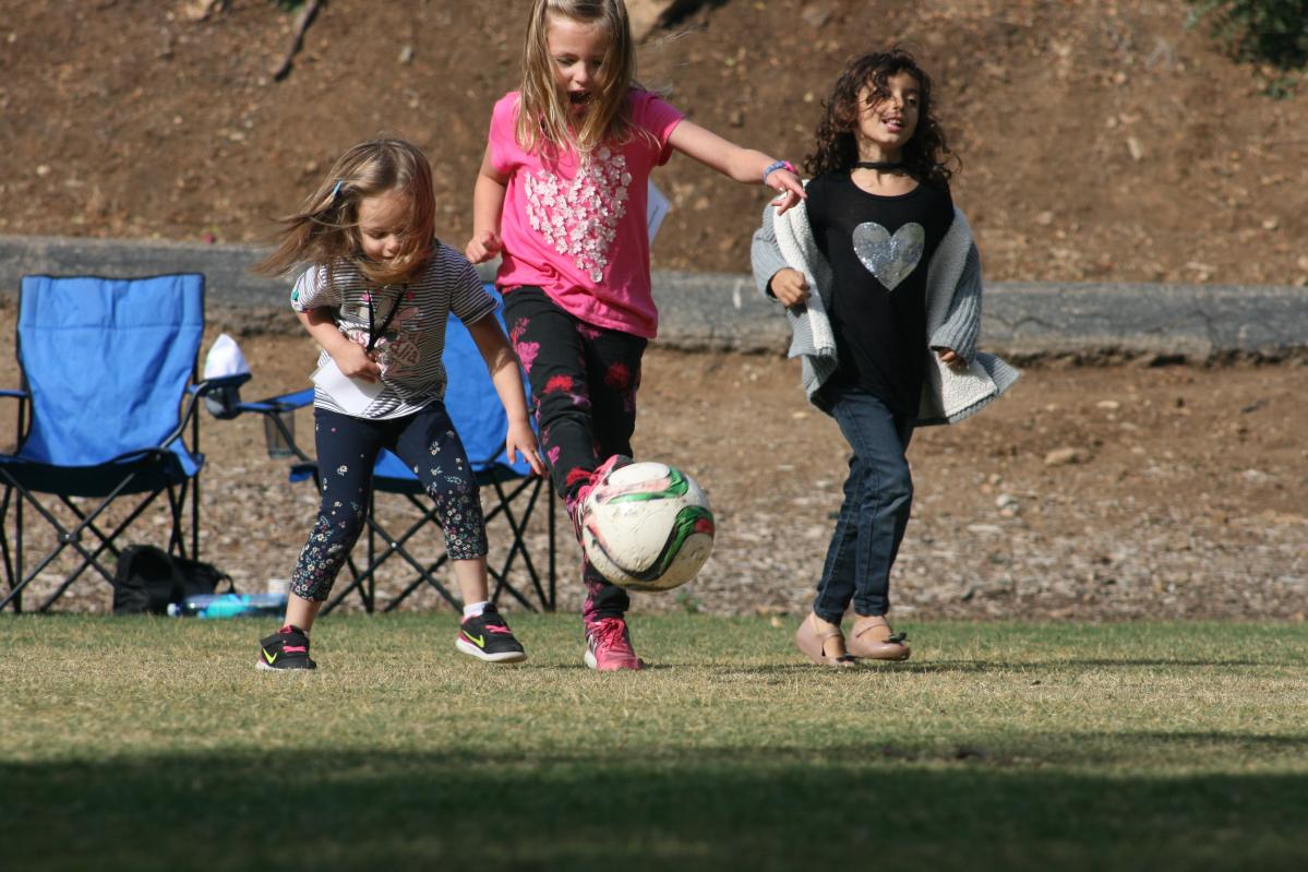 org img 1557440471 L-IMG 6255