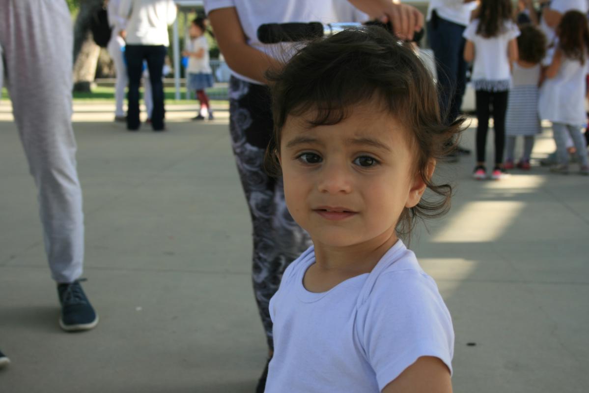 org img 1557265814 L-IMG 8048