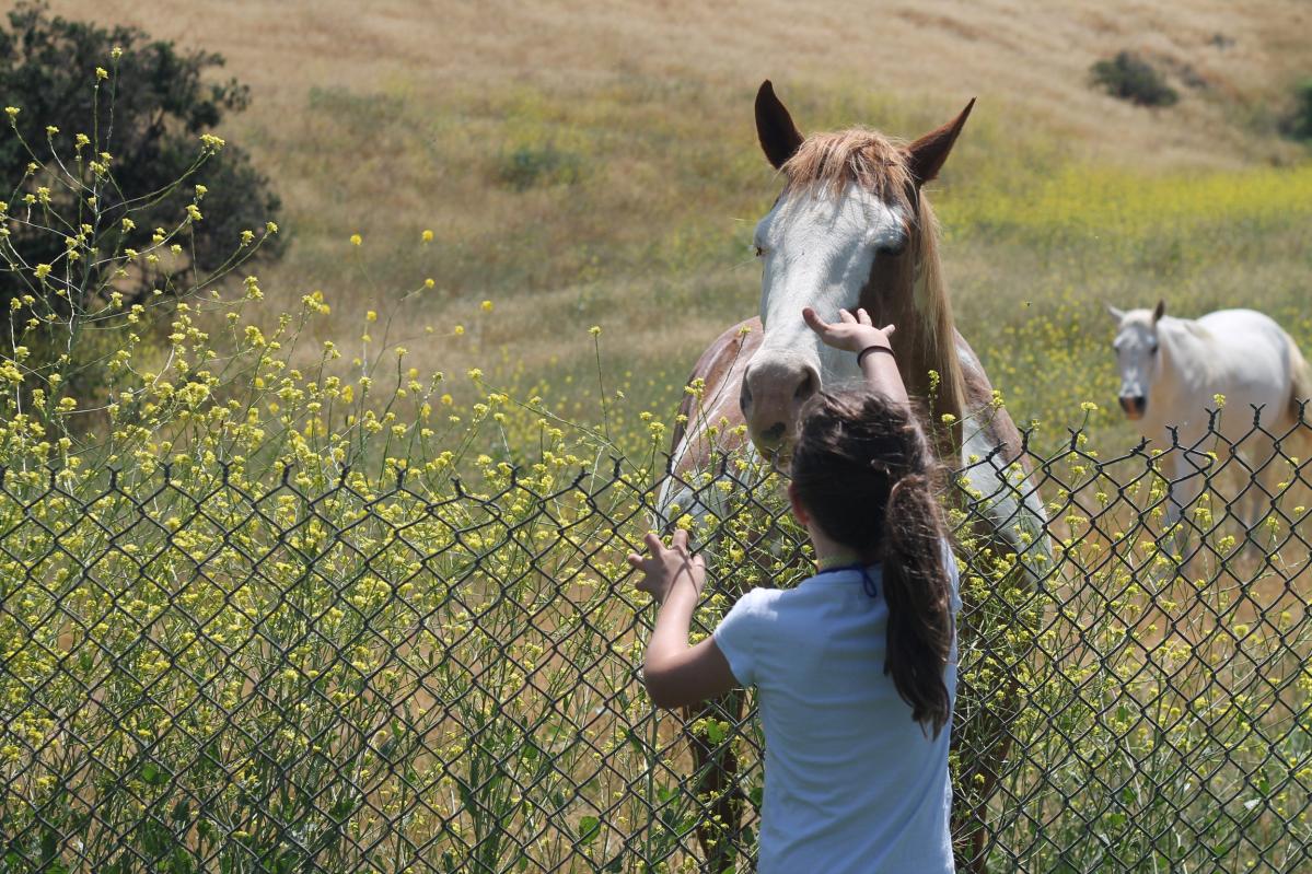 org img 1557282224 L-IMG 0219